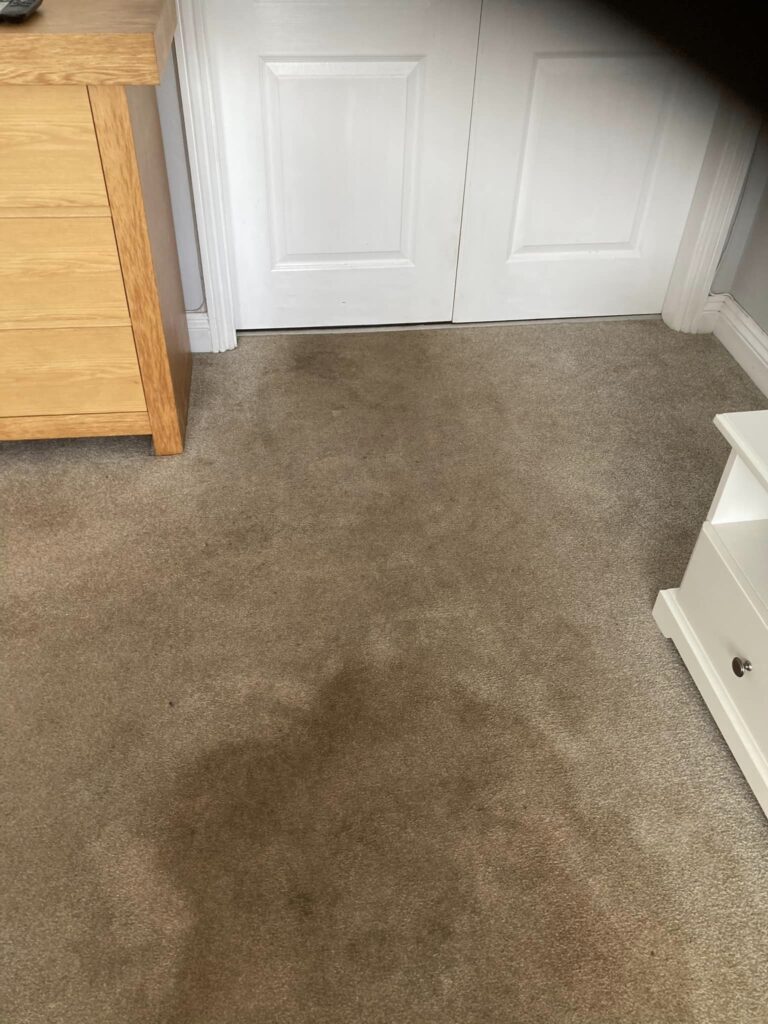 Stained carpet before cleaning