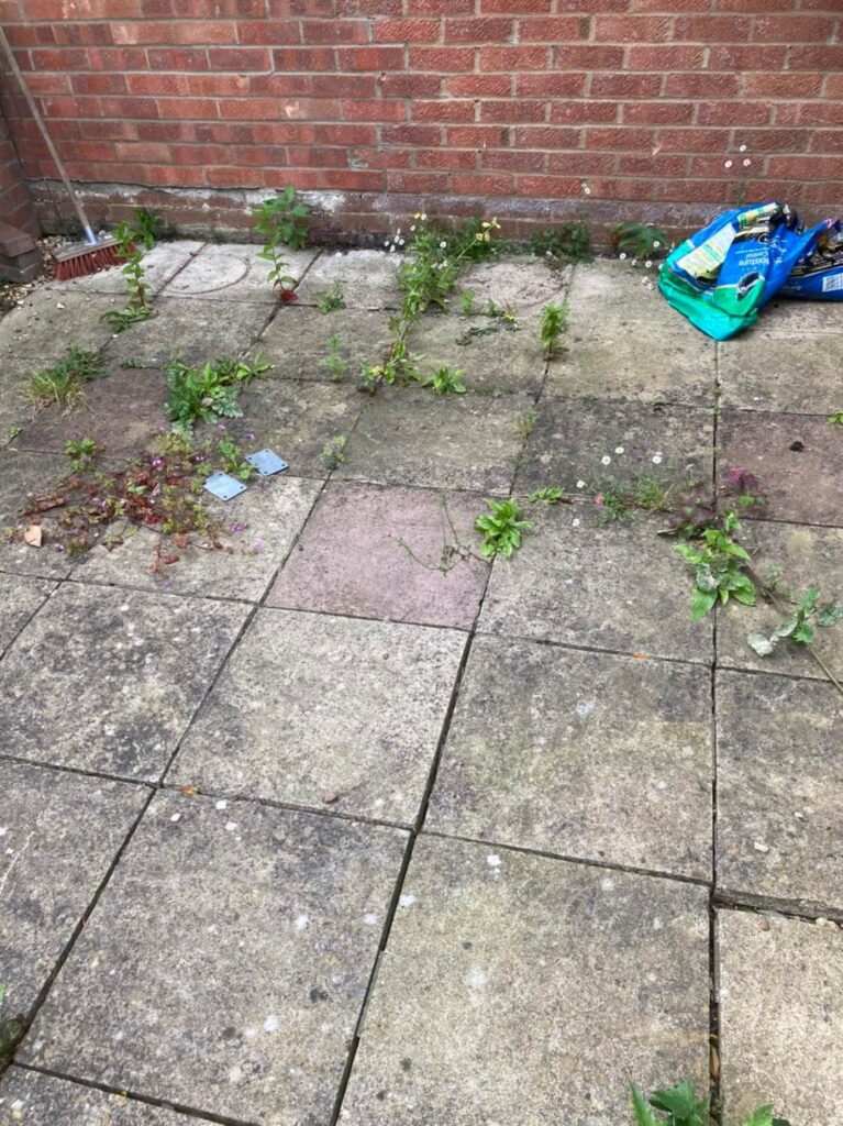 Patio before power washing cleaning