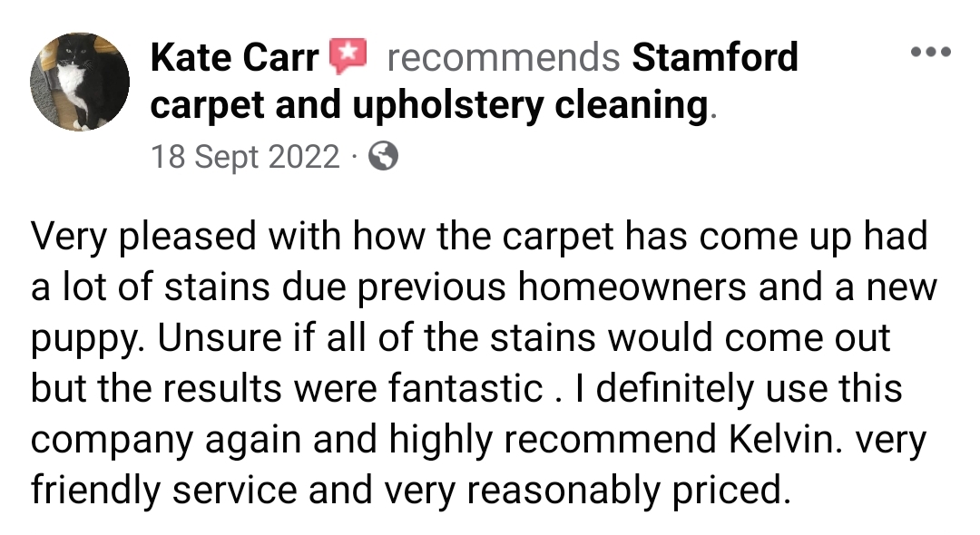 Very pleased with how the carpet has come up had a lot of stains due previous homeowners and a new puppy. Unsure if all of the stains would come out but the results were fantastic . I definitely use this company again and highly recommend Kelvin. very friendly service and very reasonably priced.