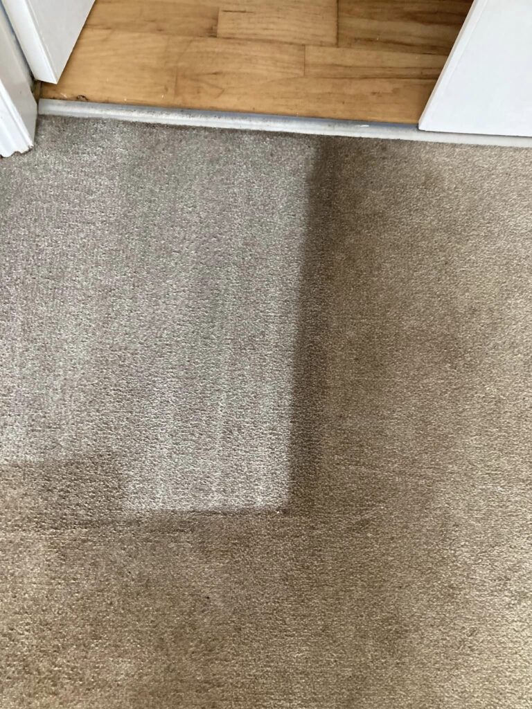 Carpet cleaning started, clean patch next to the dirty patch